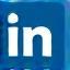 Icona LinkedIn